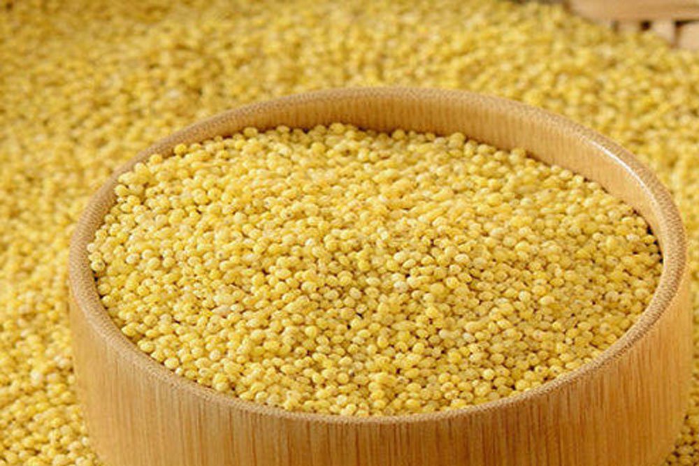 Foxtail Millet Rice