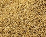 BarnYard Millet Rice