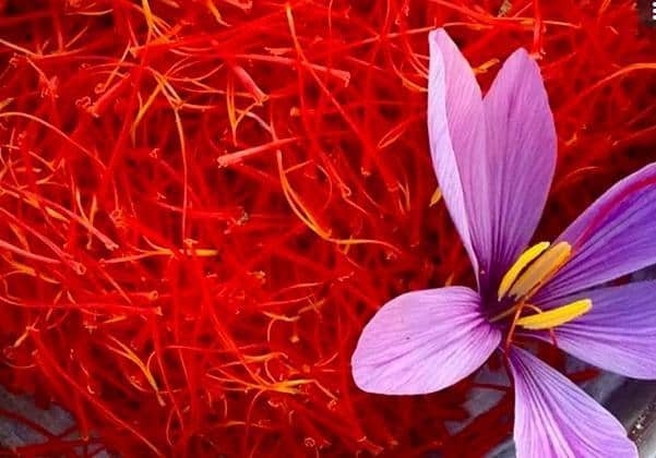 Indian Saffron / Kesar Premium - 1 gm - Pre Order Indian Kashmir Saffron