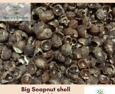 Nature Choice Soap nut shell