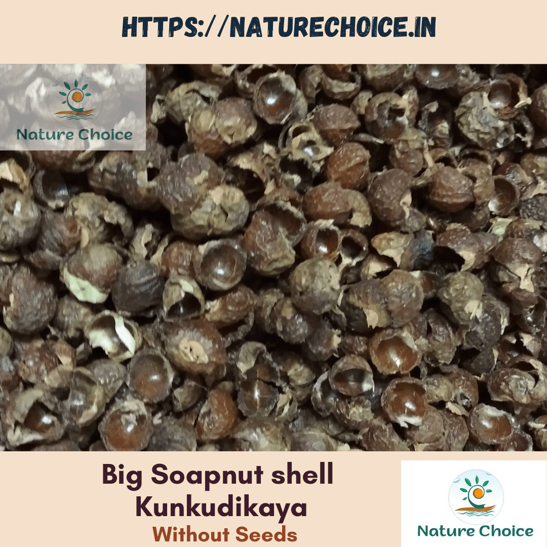 Nature Choice Soap nut shell