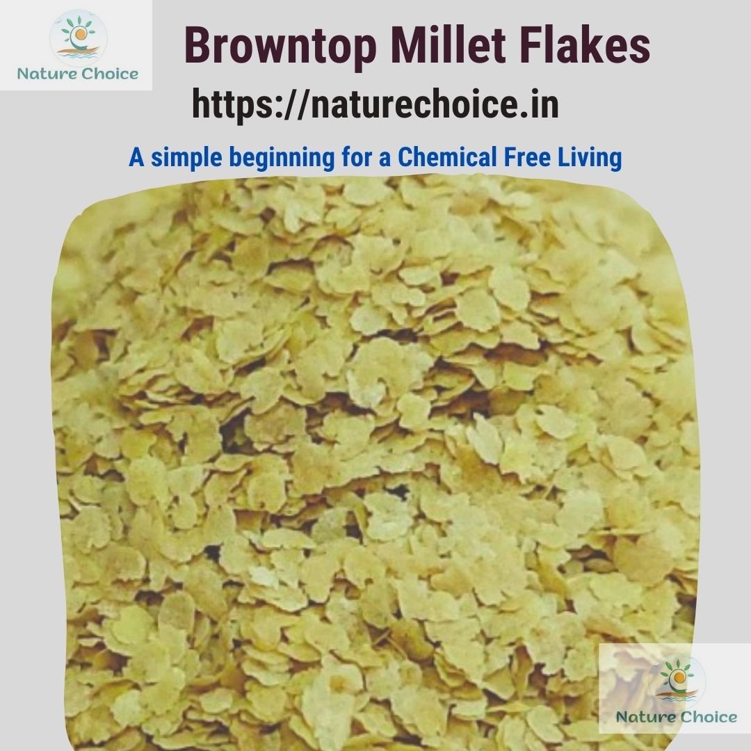Millets Flakes - Image 5