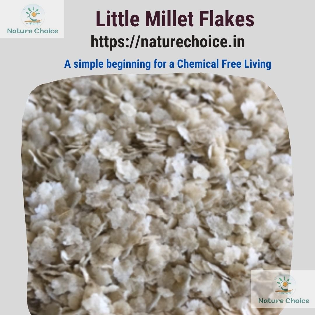 Millets Flakes - Image 2