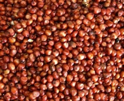 Nature Choice Red Jowar