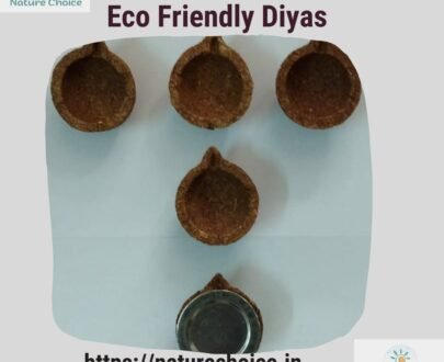 NCE Panchagavya Eco Friendly Diyas