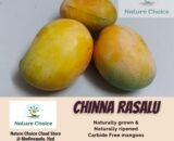 NC Mangoes Chinna Rasalu