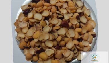 Unpolished Turdal - 1 Kg